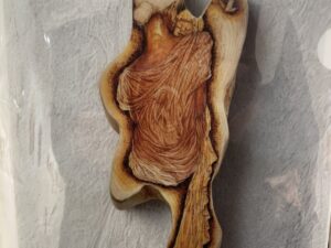 佐藤 結　クリアファイル①