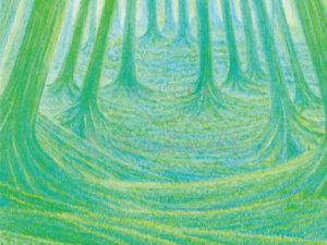 佐藤直樹　『sanctuary』